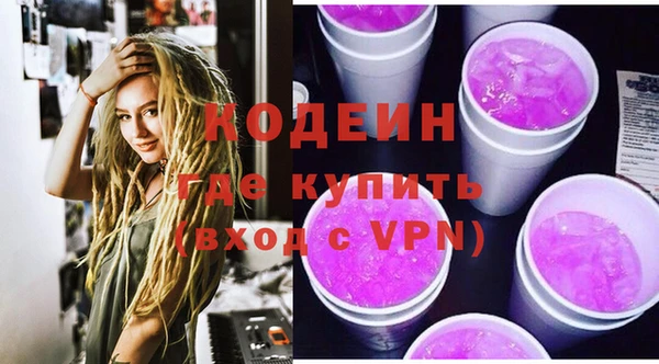 шишки Абаза