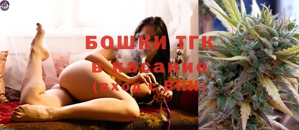 шишки Абаза
