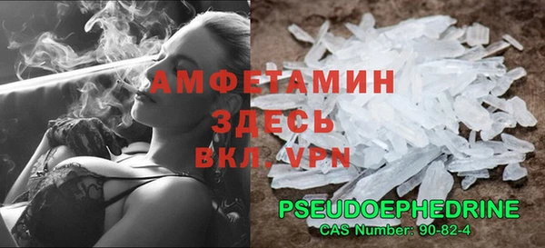шишки Абаза