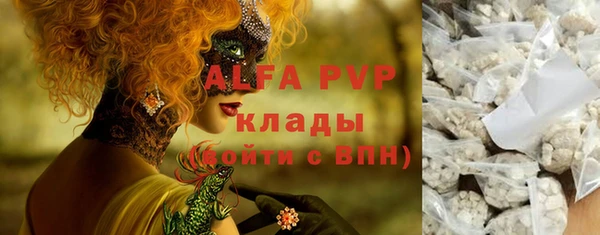 шишки Абаза