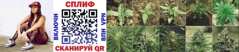 Конопля THC 21%  Ак-Довурак 